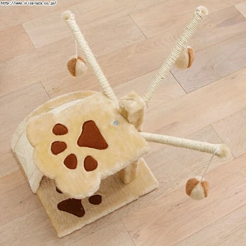 �L���b�g�����h_13