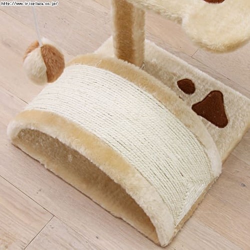 �L���b�g�����h_14