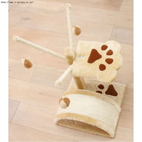 �L���b�g�����h_17