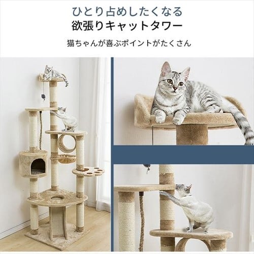 キャットランド 紐付き ベージュ_3