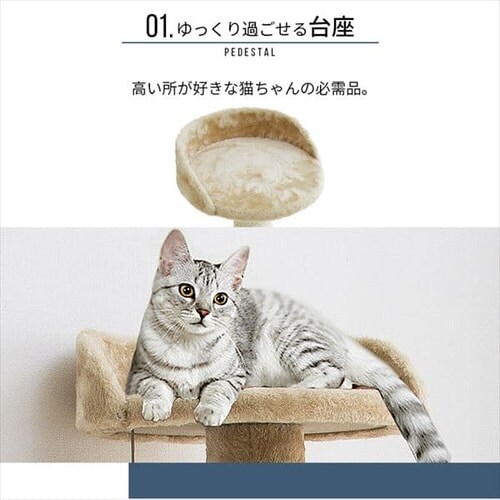 キャットランド 紐付き ベージュ_5