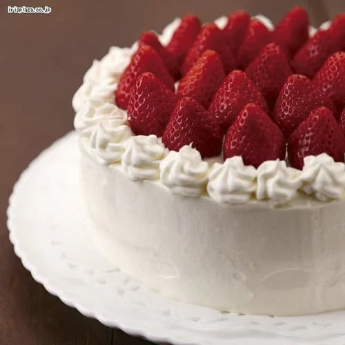 KHS ケーキクーラー 22CM 000DL6255 _2