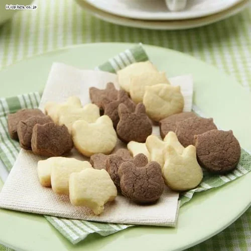 �A�j�}�������^ �S�Z�b�g _4