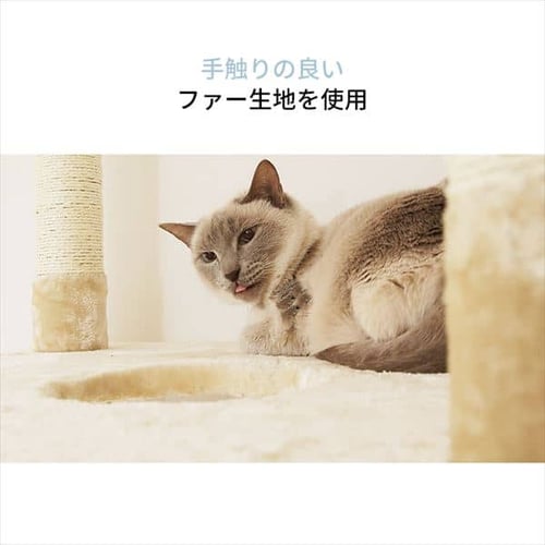 キャットタワー 突っ張り ベージュ 猫タワー 7059776 │アイリス