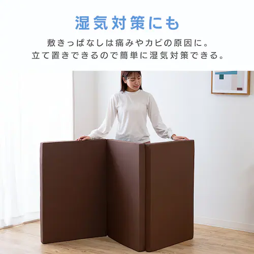 ���{�� 3�܂�E���^���}�b�g���X ����6cm �O���[_15