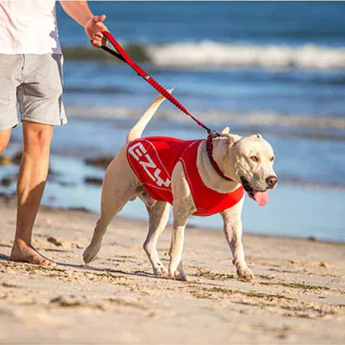 �� ���b�V���K�[�h  �h�b�O���b�V���K�[�h XS ���b�h EZYDOG �C�[�W�[�h�b�O_3