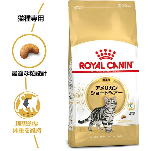 【6個セット】ロイヤルカナン 猫 アメリカンショートヘアー 成猫用 2kg 正規品 FBN(フィーライン ブリード ニュートリション)rccf33_2