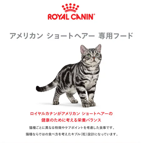ロイヤルカナン キャットフード アメリカンショートヘアー 成猫用 400g FBN(フィーライン ブリード ニュートリション)rccf33_2