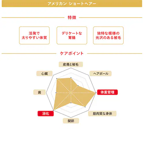 ロイヤルカナン キャットフード アメリカンショートヘアー 成猫用 400g FBN(フィーライン ブリード ニュートリション)rccf33_3