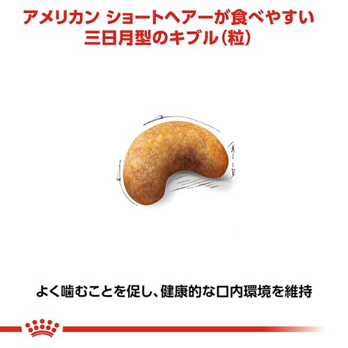 【6個セット】ロイヤルカナン 猫 アメリカンショートヘアー 成猫用 2kg 正規品 FBN(フィーライン ブリード ニュートリション)rccf33_4