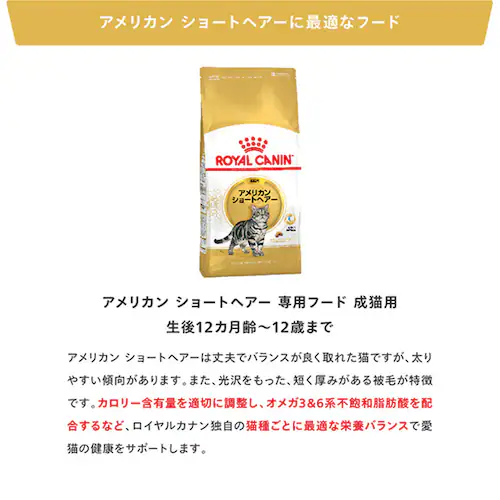 ロイヤルカナン キャットフード アメリカンショートヘアー 成猫用 400g FBN(フィーライン ブリード ニュートリション)rccf33_4