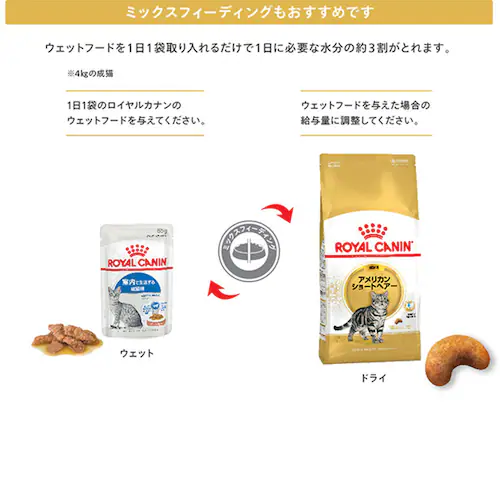 ロイヤルカナン キャットフード アメリカンショートヘアー 成猫用 400g FBN(フィーライン ブリード ニュートリション)rccf33_8