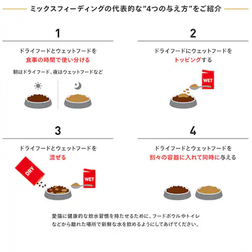 ロイヤルカナン キャットフード アメリカンショートヘアー 成猫用 400g FBN(フィーライン ブリード ニュートリション)rccf33_9