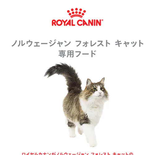 ロイヤルカナン キャットフード ノルウェージャンフォレストキャット 成猫用 400g FBN(フィーライン ブリード ニュートリション)rccf35_2