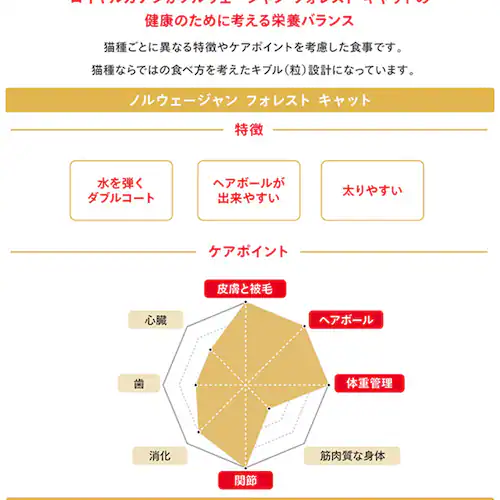 ロイヤルカナン キャットフード ノルウェージャンフォレストキャット 成猫用 400g FBN(フィーライン ブリード ニュートリション)rccf35_3