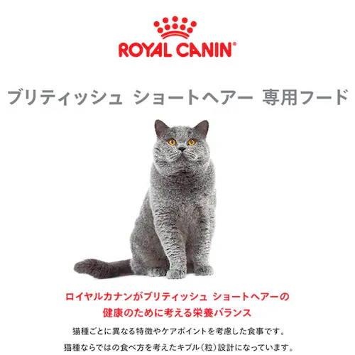ロイヤルカナン キャットフード ブリティッシュショートヘアー 成猫用 400g FBN(フィーライン ブリード ニュートリション)rccf36_2
