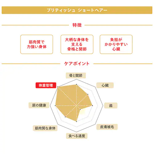 ロイヤルカナン キャットフード ブリティッシュショートヘアー 成猫用 400g FBN(フィーライン ブリード ニュートリション)rccf36_3