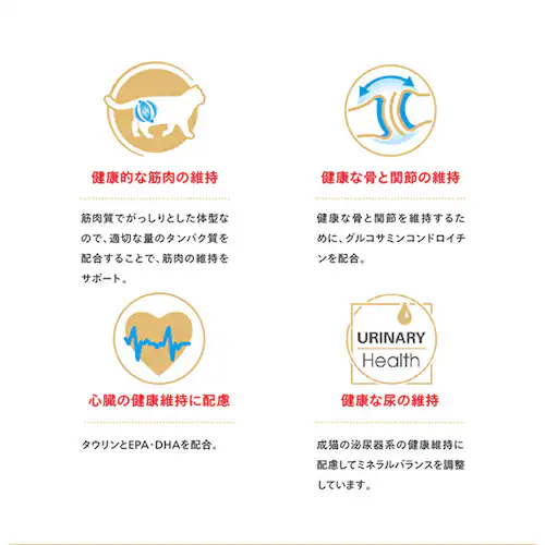 ロイヤルカナン キャットフード ブリティッシュショートヘアー 成猫用 400g FBN(フィーライン ブリード ニュートリション)rccf36_5