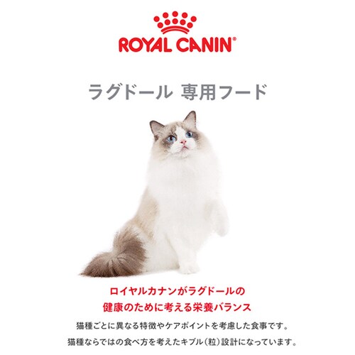 ロイヤルカナン キャットフード ラグドール 成猫用 400g FBN(フィーライン ブリード ニュートリション)rccf41_2
