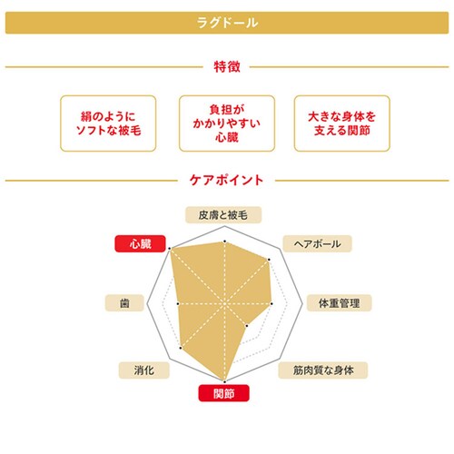 ロイヤルカナン キャットフード ラグドール 成猫用 400g FBN(フィーライン ブリード ニュートリション)rccf41_3