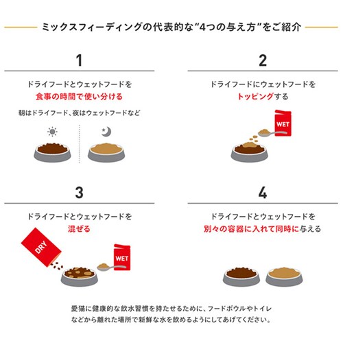 ロイヤルカナン キャットフード ラグドール 成猫用 400g FBN(フィーライン ブリード ニュートリション)rccf41_8