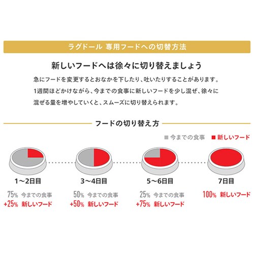 ロイヤルカナン キャットフード ラグドール 成猫用 400g FBN(フィーライン ブリード ニュートリション)rccf41_9