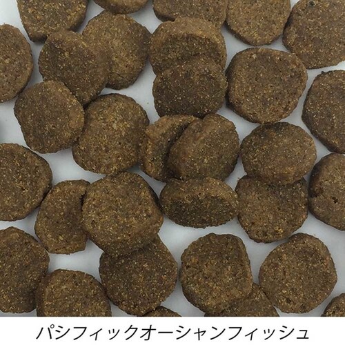 �t�@�[�X�g���C�g�h�b�O PO�t�B�b�V�� 6.6kg  �h�b�O�t�[�h_2