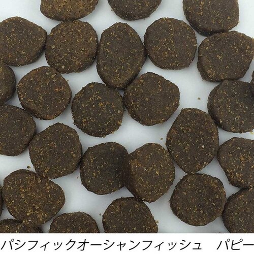 �t�@�[�X�g���C�g�h�b�O PO�t�B�b�V�� �G���f�������X/�p�s�[ 2.3kg  �h�b�O�t�[�h_2