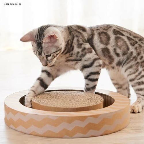 �G�C���N���G�C�c �j�����R���r �T�[�N�� _2