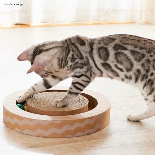 �G�C���N���G�C�c �j�����R���r �T�[�N�� _4