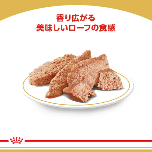 ロイヤルカナン チワワ 成犬用 BHN-WET 85g BHN(ブリード ヘルス ニュートリション)rcdb31_3