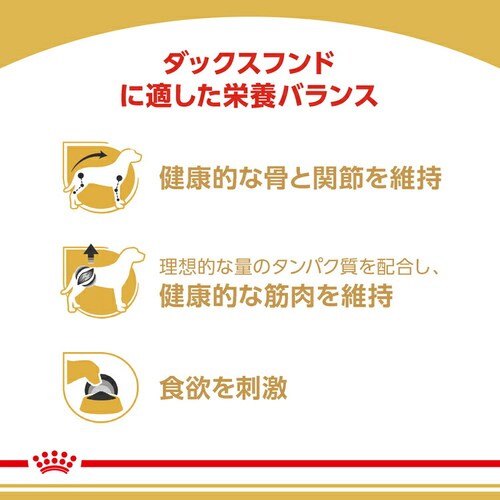 【12個セット】ロイヤルカナン ダックスフンド 成犬〜高齢犬用 BHN-WET 85g BHN(ブリード ヘルス ニュートリション)rcdb30_2