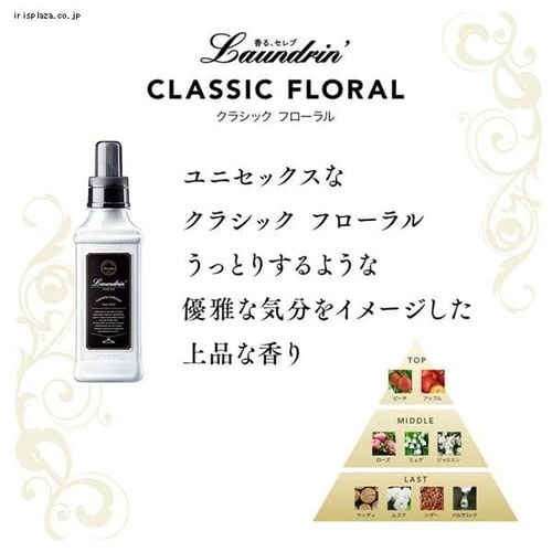 �y3�Z�b�g�z�����h���� �_��� �N���V�b�N�t���[���� �l�ߑւ� 960ml _3