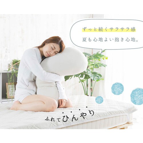 クリアグローブ 抗菌防臭・接触冷感クール抱き枕 EIBP-001 全4色【プラザセレクト】_6
