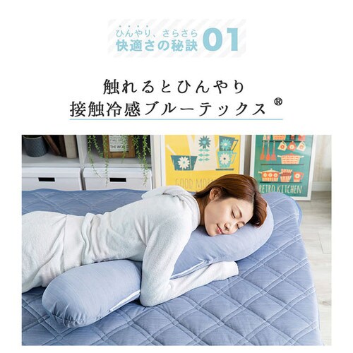 クリアグローブ 抗菌防臭・接触冷感クール抱き枕 EIBP-001 全4色【プラザセレクト】_10