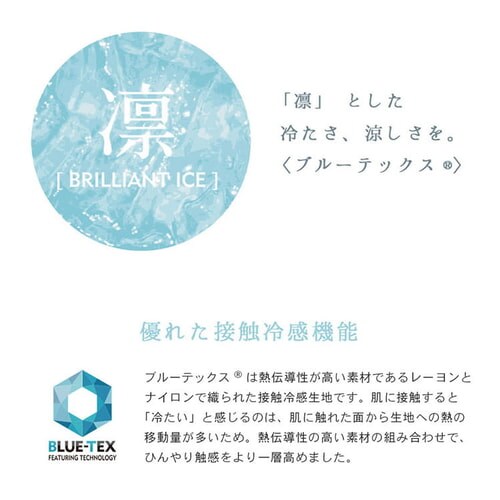 クリアグローブ 抗菌防臭・接触冷感クール抱き枕 EIBP-001 全4色【プラザセレクト】_12