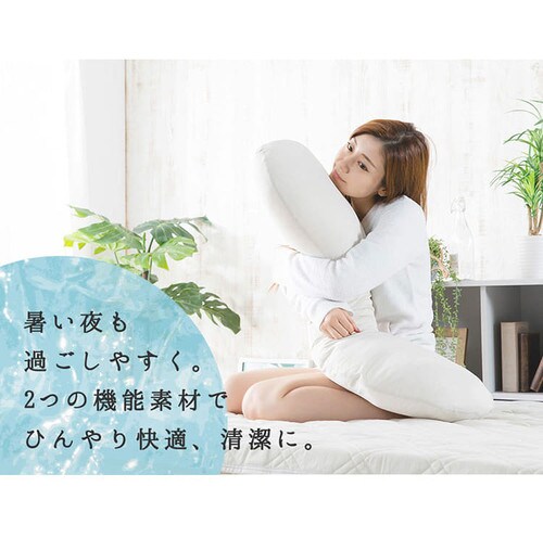 クリアグローブ 抗菌防臭・接触冷感クール抱き枕 EIBP-001 全4色【プラザセレクト】_20