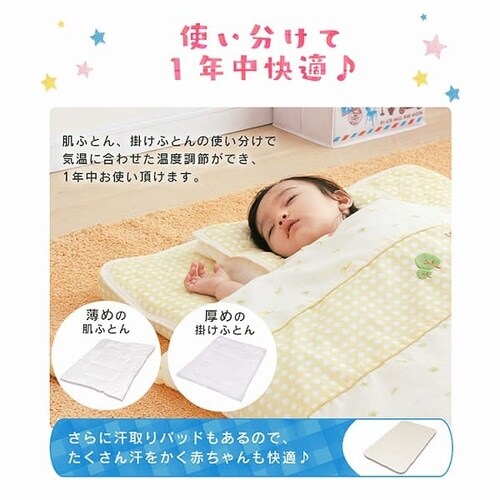 �x�r�[�g�z�c11�_�Z�b�g �x�r�[�^�C�v�S3�F �y�v���U�Z���N�g�z_6