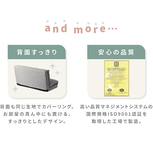 ソファ 2人掛け 幅120cm 3WAY CG-4A-120 ブラウン 7157899 │アイリス