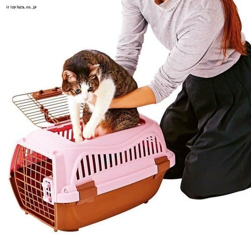 �y�e�B�I 2�h�A �X�}�C���L�����[ S �u���b�N�� �L �L�����[_4