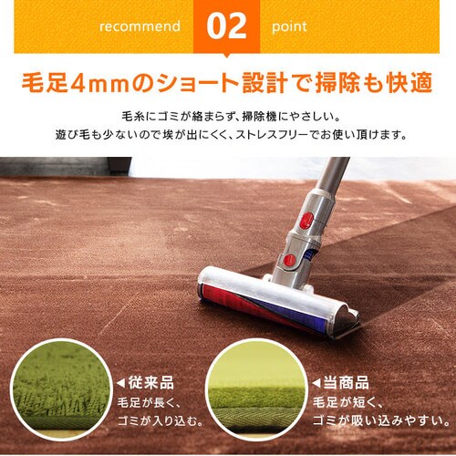 �ᔽ�����O 200�~250cm 95523�E95524�E95525�E95526 �S4�F�y�v���U�Z���N�g�z_9