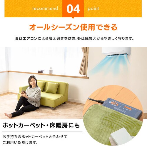 �ᔽ�����O 200�~300cm 95527�E95528�E95529�E95530 �S4�F�y�v���U�Z���N�g�z_11