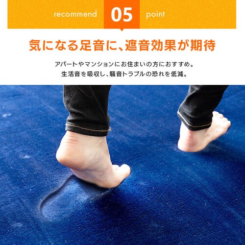 �ᔽ�����O 200�~300cm 95527�E95528�E95529�E95530 �S4�F�y�v���U�Z���N�g�z_12