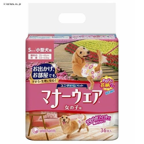 ���j��`���[�� �}�i�[�E�F�A���̎q�p �S5�� _2