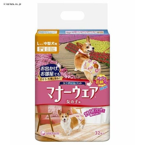 ���j��`���[�� �}�i�[�E�F�A���̎q�p �S5�� _4