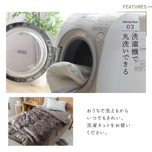 �V�[�v���{�A�ѕz�z�c �V���O�� ����� �A�C�{���[ _7