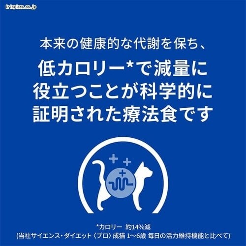 �q���Y ���ʗÖ@�H ���p ���^�{���b�N�X  �̏d�Ǘ� 4kg_6