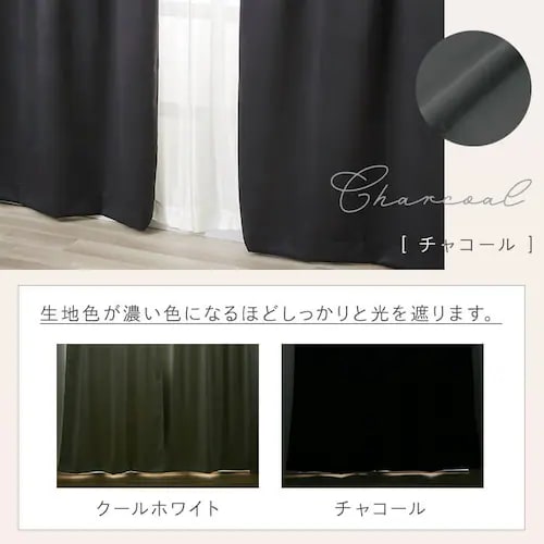 2P 1級遮光 100x210 チャコール【プラザセレクト】 7287133