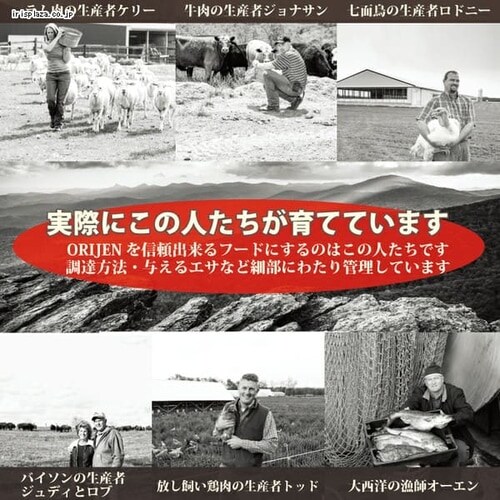 オリジン 6フィッシュ ドッグ340g _6