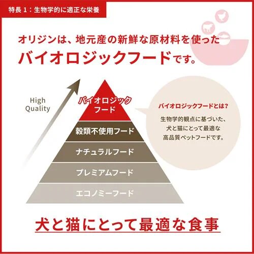 アウトレット賞味期限印字不良】アカナ アダルトスモールブリード 6kg
